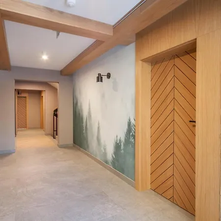 Апартаменты Apartserwis Witkac Закопане