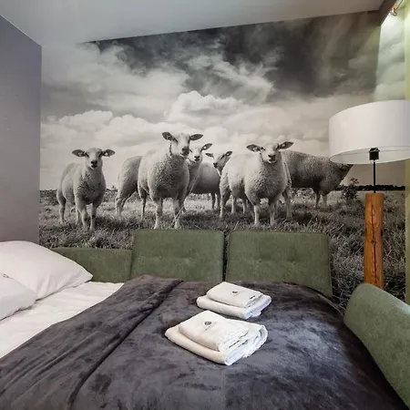 Daire Apartserwis Witkac Zakopane